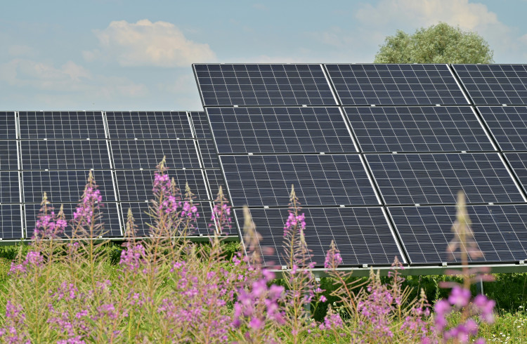 Evercreech residents will be able to view plans for a proposed solar PV development at Rodmore Farm later this month.