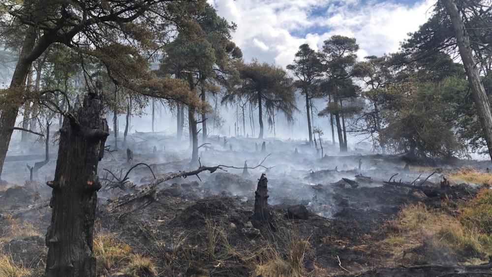Staffordshire Wildlife Trust wants to restore and protect sites against fire damage, including The Roaches which was damaged by fire in 2018 (image via Staffordshire Fire and Rescue Service)