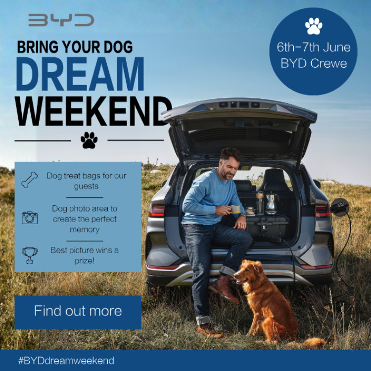 Advertisement