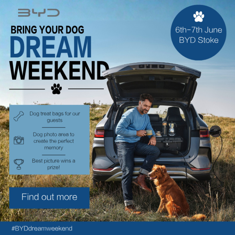Advertisement
