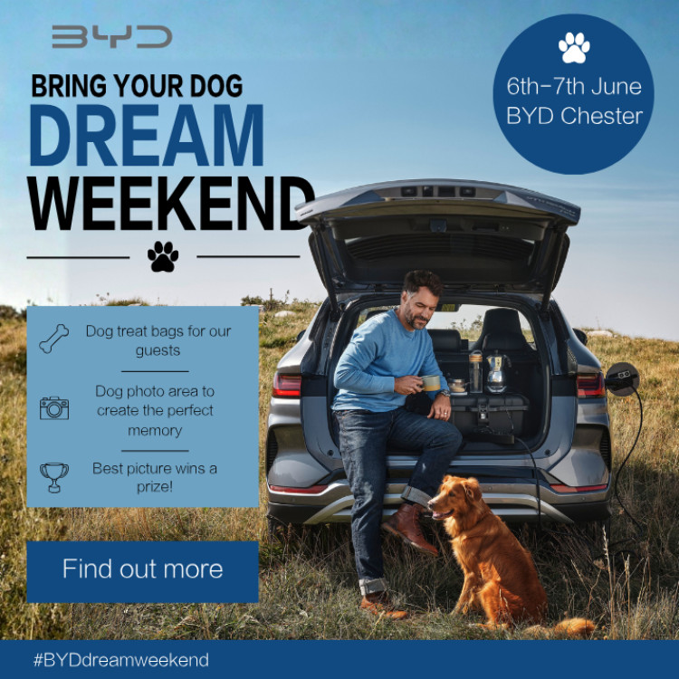 Advertisement