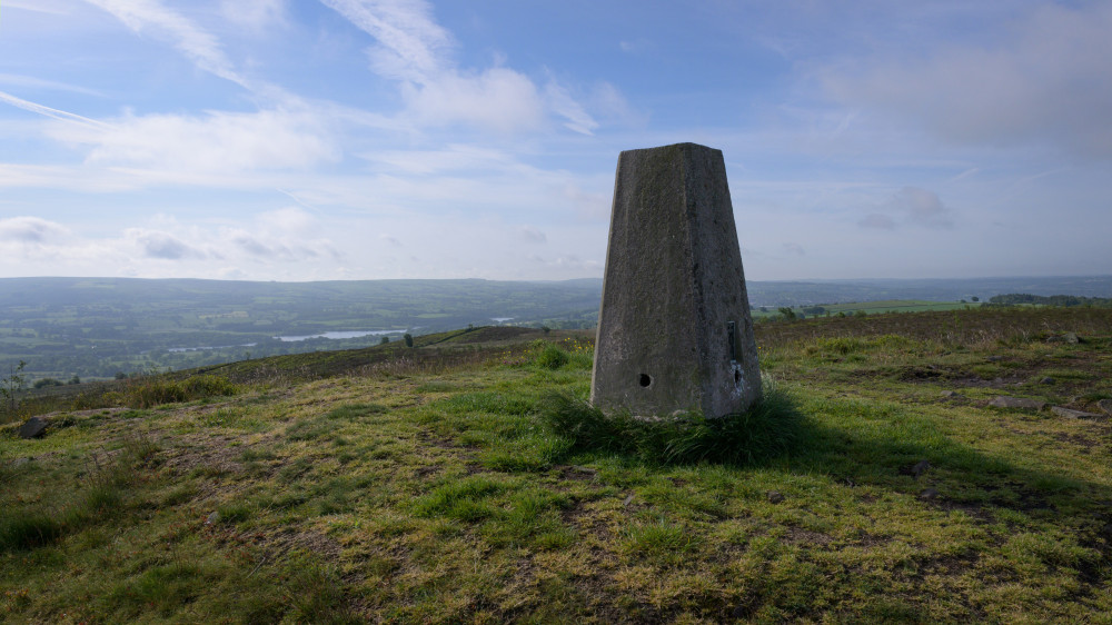 A new habitat restoration project has been announced for Gun Moor (image via Susan Freeman)