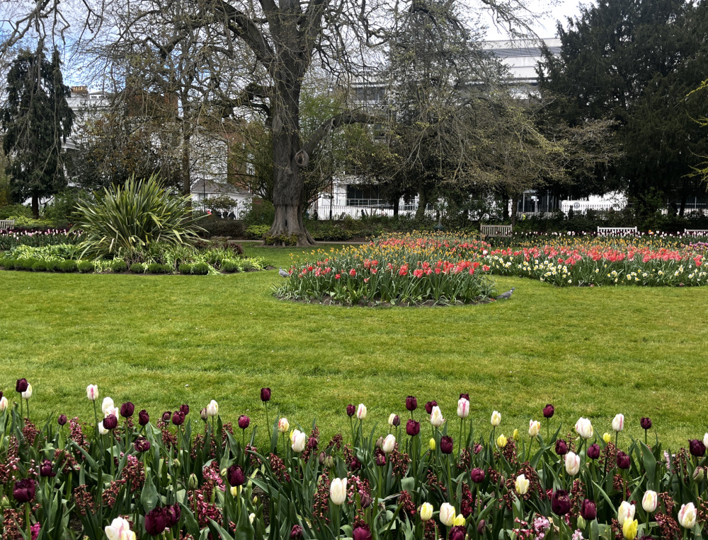 There's plenty to do in Leamington this June weekend (Image via Nub News) 