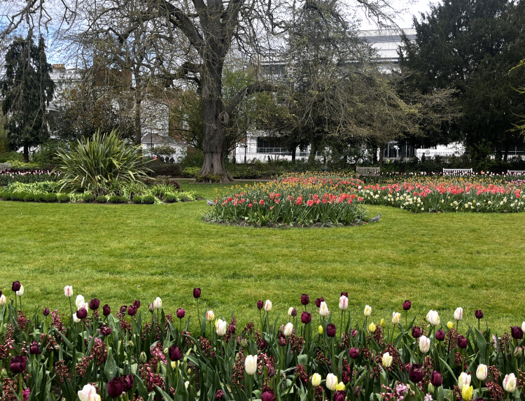 There's plenty to do in Leamington this June weekend (Image via Nub News) 