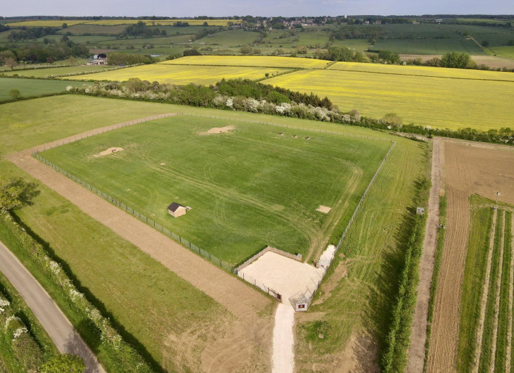 New dog park is opening at Rutland Vineyard (Photo: Rutland Dog Park)
