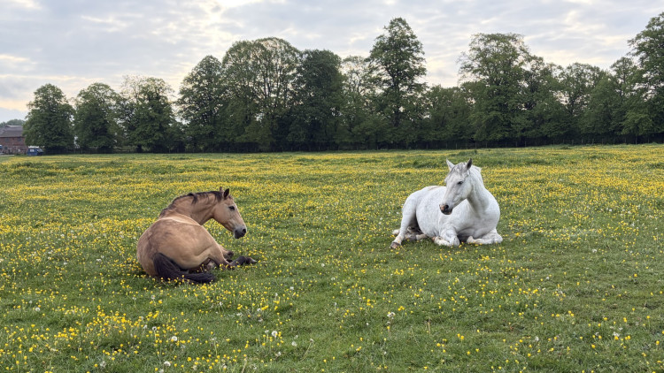Are you looking for something to do this weekend? (image via Livia Gregor)