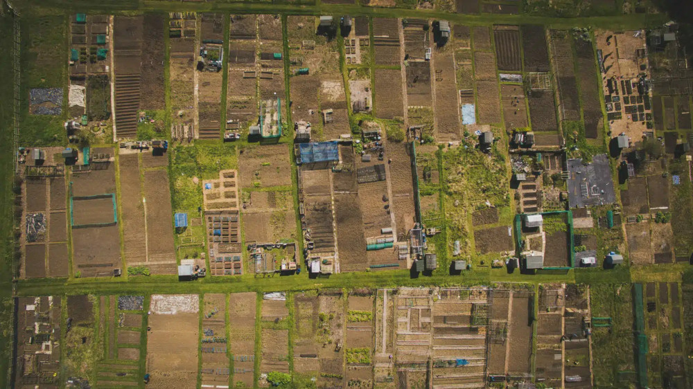  Glastonbury Town Council has allotment plots available at Lowerside for local residents who want to grow fruit, vegetables and herbs.