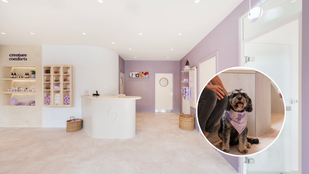 Creature Comforts Vets in Twickenham opens on 11 June, offering services from routine health checks to dentistry and surgery - all with transparent pricing (credit: Creature Comforts).
