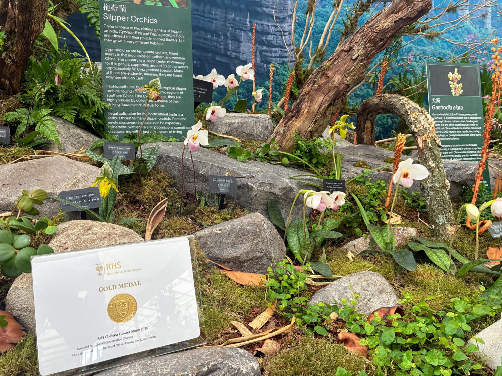 Gold Winning Display 