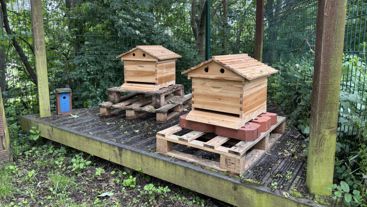 Two new bee hives have been installed in Burslem Park (image via Nub News)