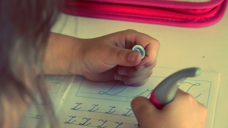 The pandemic seems to have cause an increase in children being home educated (image via pxfuel)