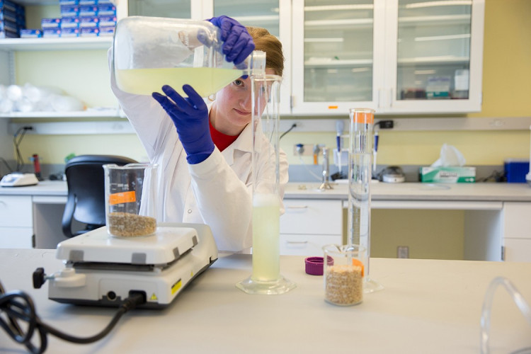 Job opportunities in Wells: From accountancy to lab tech, marketing, and HR. Roles in engineering, special ed, dairy, and driver positions await in Somerset