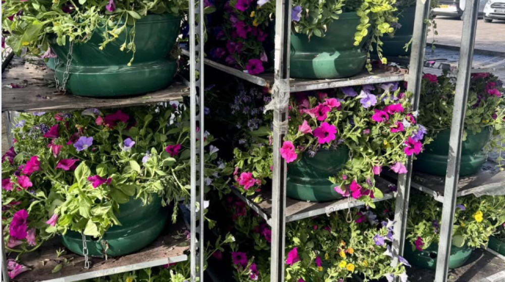 Over 300 hanging baskets are being put up in Warwick today to brighten the town's streets (image via Warwick Town Council) 