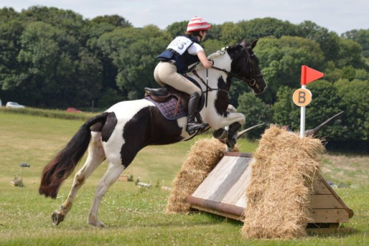 Kingston Maurward Estate will host the event.