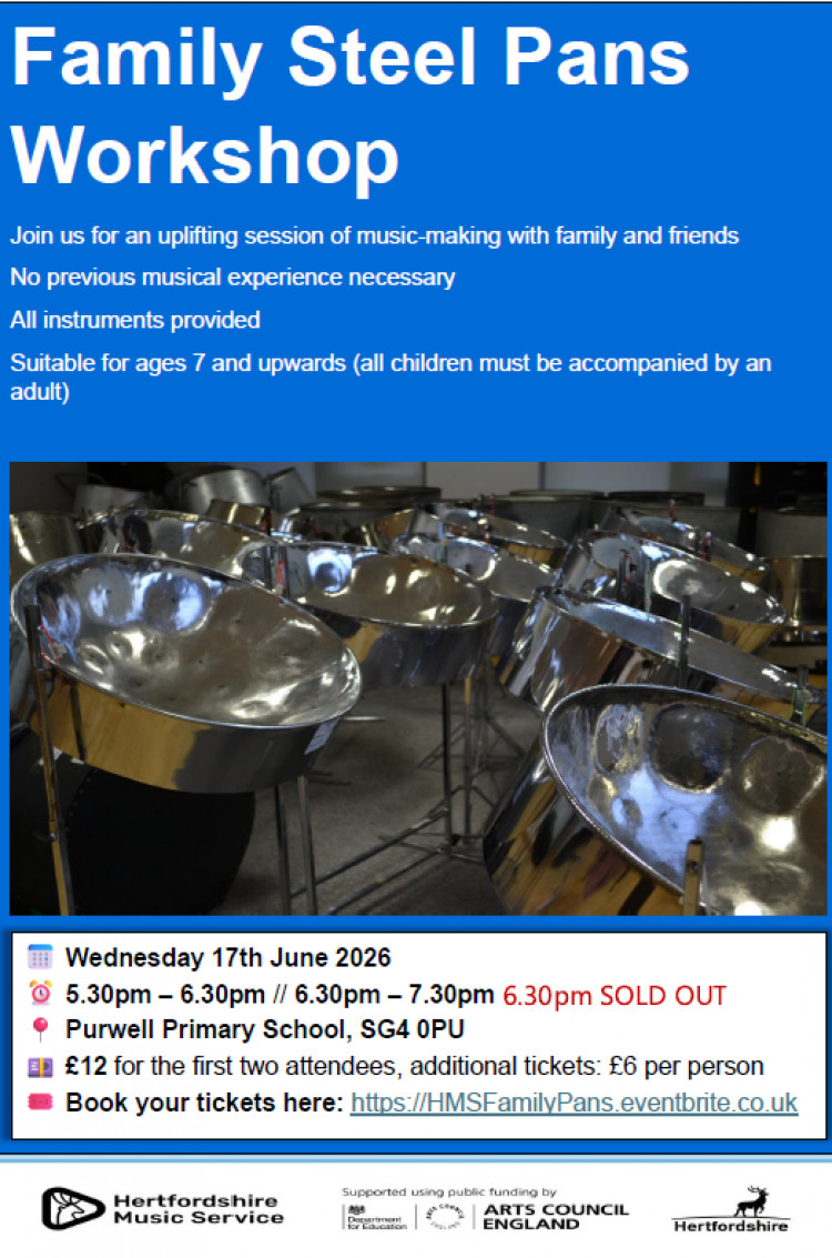 Family Steel Pans at Purwell