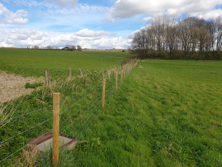  Easily accessible site on beautiful open downland close to the Thomas Hardy Trail, where a variety of native deciduous trees will be planted, including disease-resistant Elms. Picture by Rupert Hardy. 