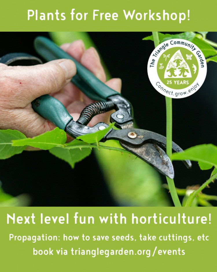 Plants For Free Workshop