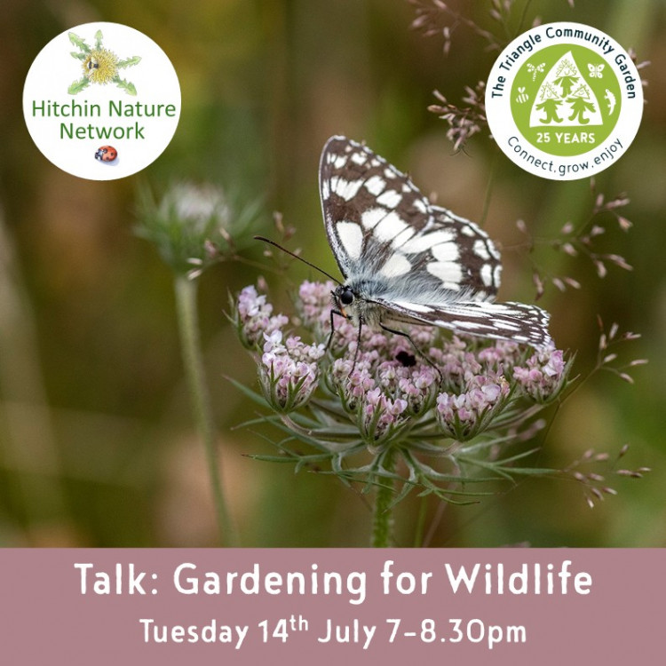 Talk: Gardening for Wildlife