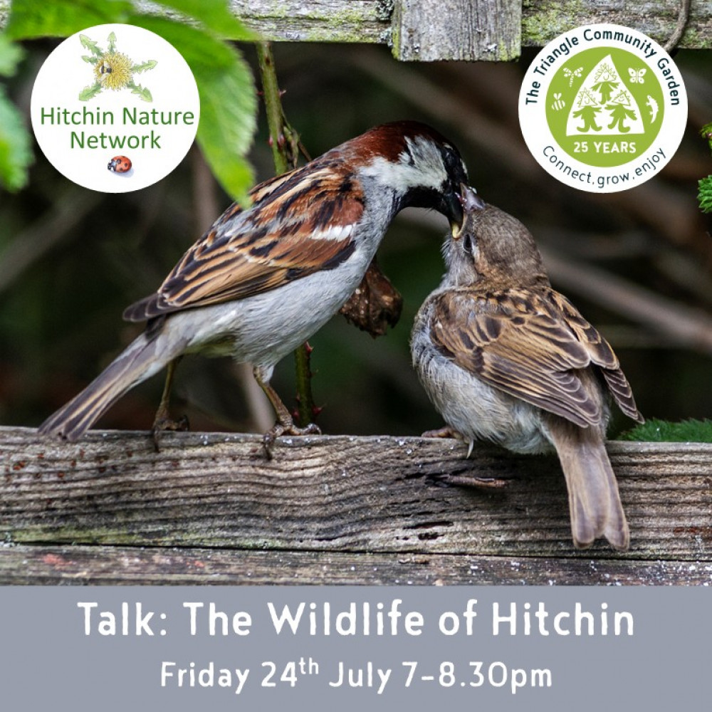 Talk: The Wildlife of Hitchin