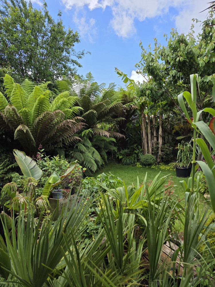 National Garden Scheme 
