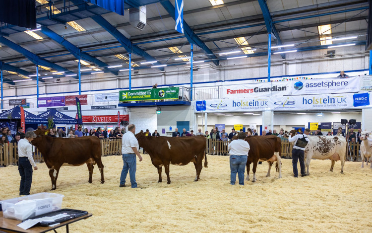 The Dairy Show 2026