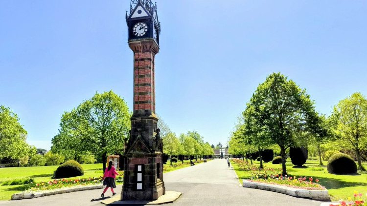 Crewe Nub News has you covered for all the main events every weekend (Photo: Ryan Parker).