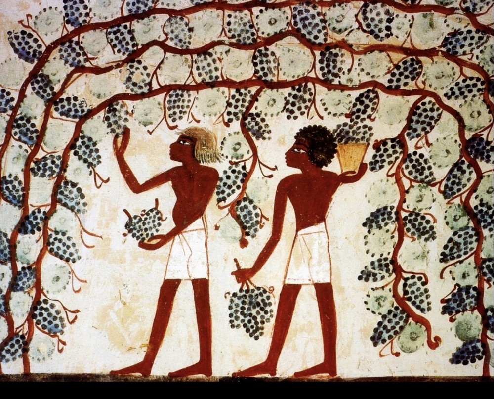 The Arts Society Mid Somerset Lecture ‘The Garden in Ancient Egyptian Art’