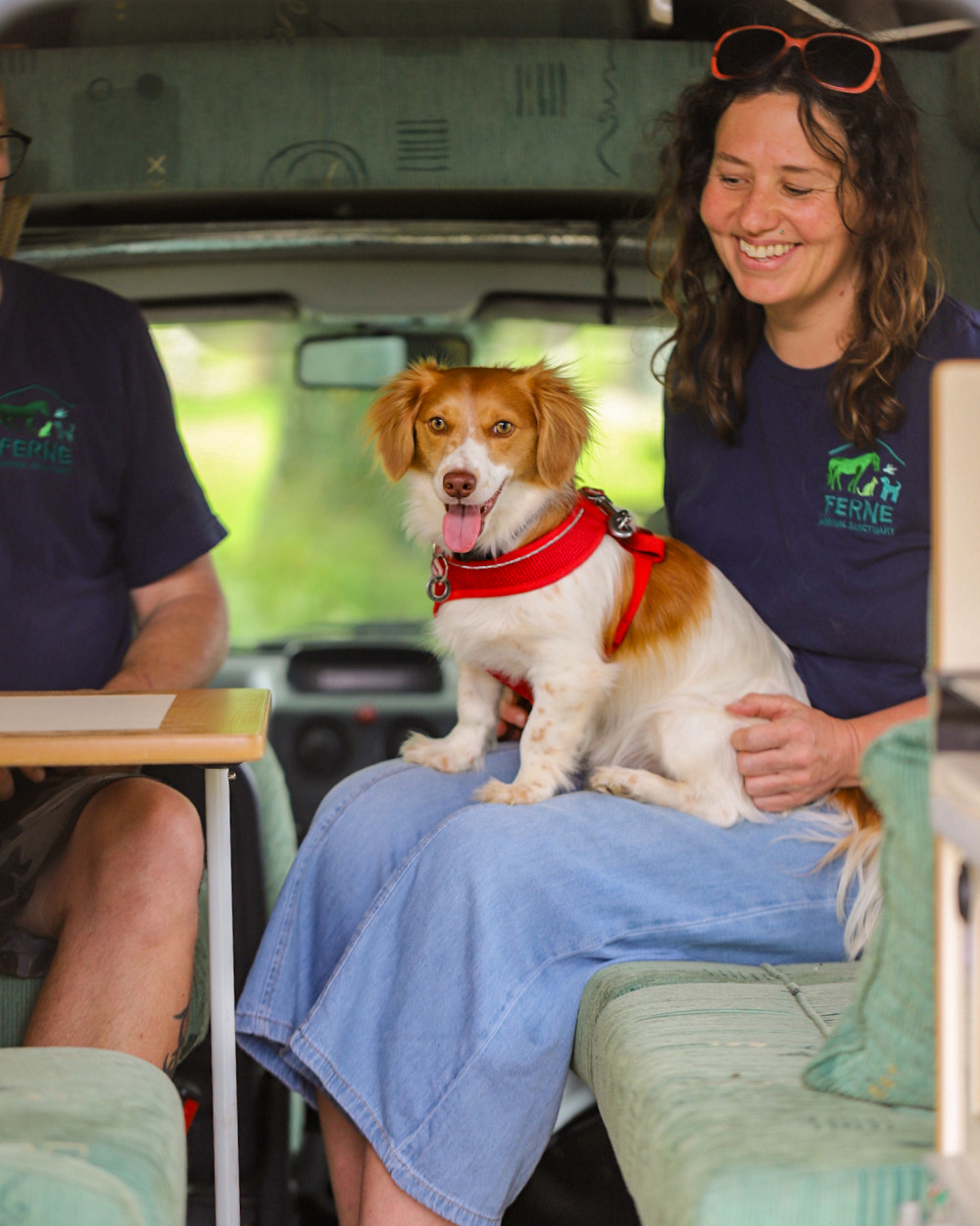 Campervan Auction for Good Cause