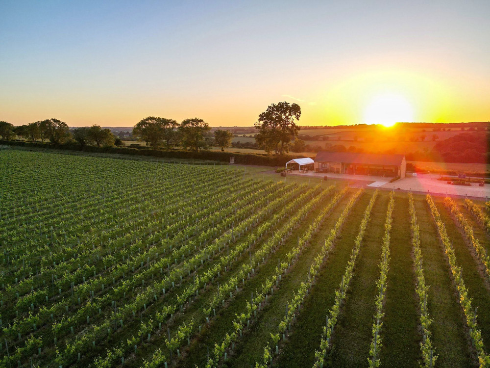 Rutland Vineyard won the award for Best Artisan Food and Drink (Photo: Rutland Vineyard)