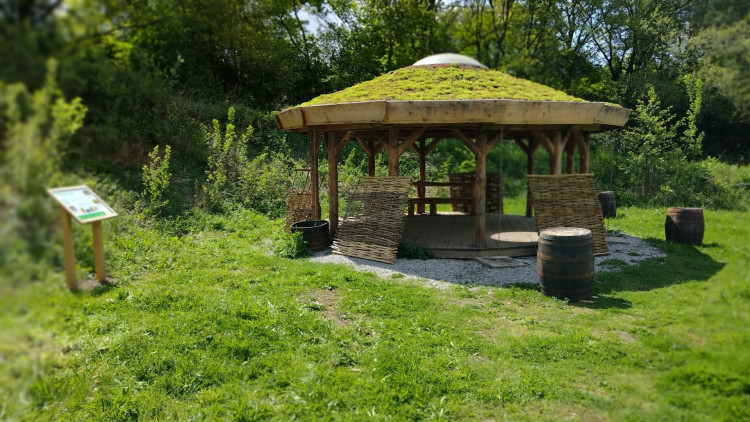 It is important that participants are available for both sessions (image via Hassall Green Nature Reserve)