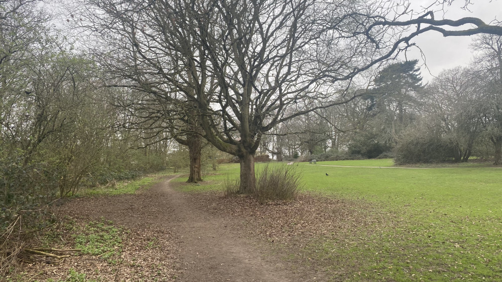 Warwick District councillors to review PSPOs for 2026-2029 (image by Nub News)