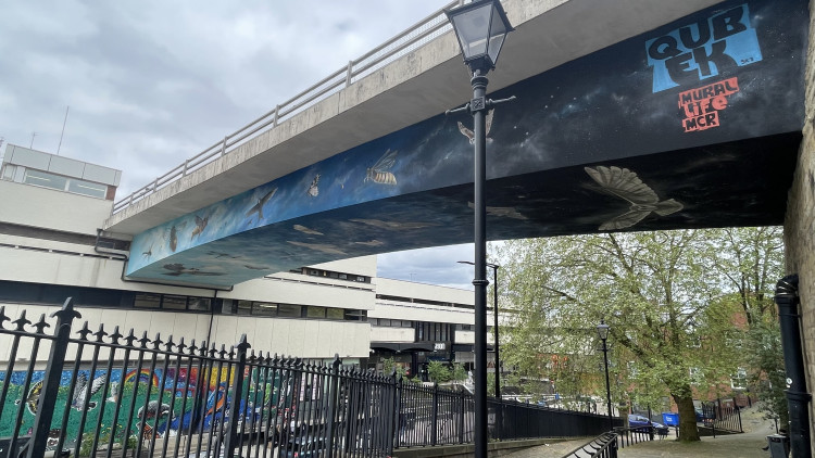 The mural is laid out from dawn to dusk, showing the early risers through to the nocturnal creatures (Image - Nub News)