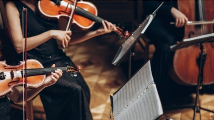 Summer Music: Strings
