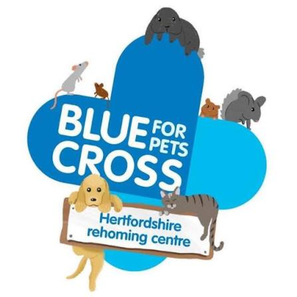 Blue Cross for Pets 
