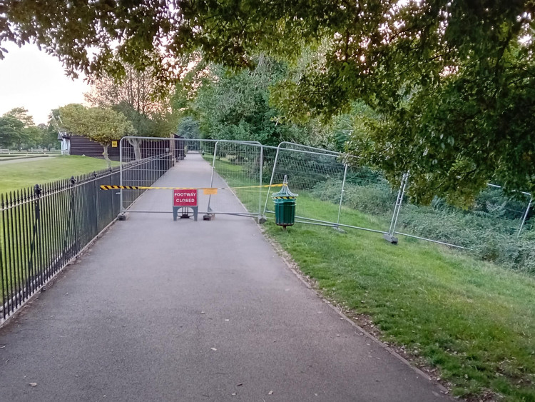 Branch falls, halting Para Bowls in Leamington's Victoria Park (image supplied) 