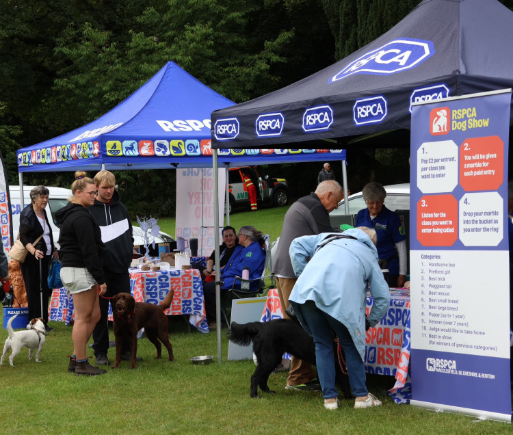 Bark in the Park returns in July (Credit: RSPCA)