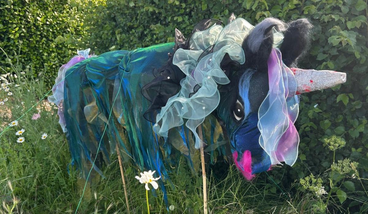 Whimsy in the Wild (image supplied)