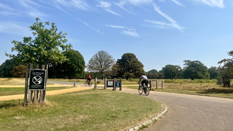 The Royal Parks has warned visitors to stay in the shade during the heatwave hitting Richmond this week (credit: Nub News).
