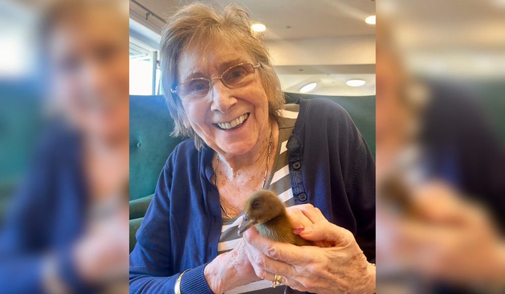 Belong Macclesfield customer, Jeanette Bayliss, with one of the ducklings (Credit: Belong Macclesfield)
