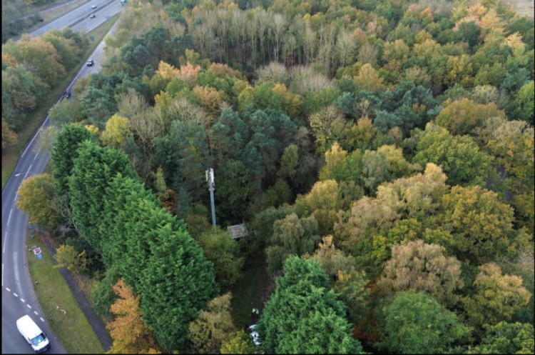 The 30 metre mast will replace one that is already in place at Bullimore Wood (image via planning application)