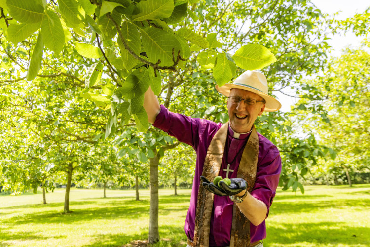 The Bishop of Bath and Wells blesses walnuts for midsummer pickle revival (SWNS) 