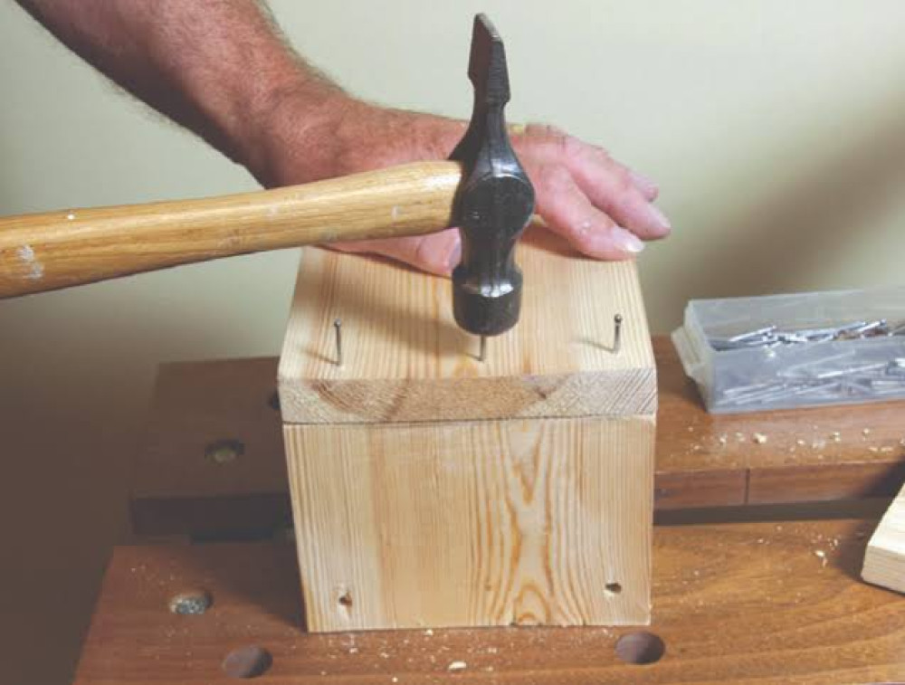 Shepton's free summer wellness sessions feature birdbox making, menopause talks, Pilates, Tai Chi, and sound baths, promoting community wellness. (File photo) 