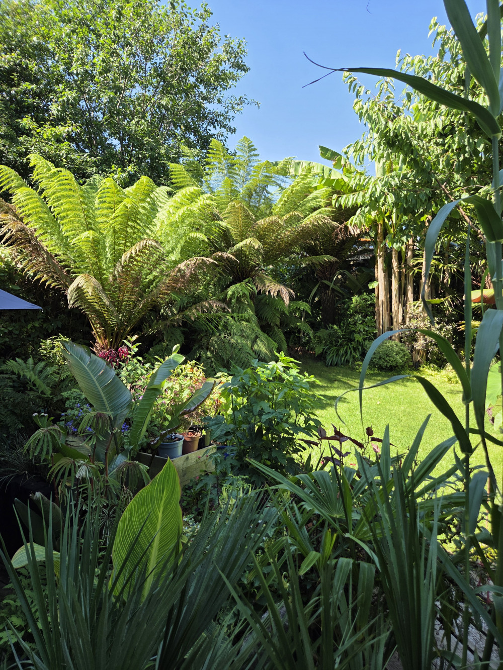 National Garden Scheme 