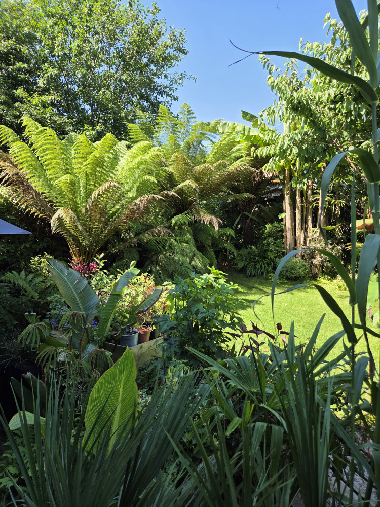 National Garden Scheme 