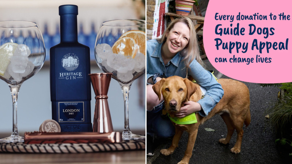 Tickets are on sale for the Guide Dogs fundraising night this September! (images supplied)