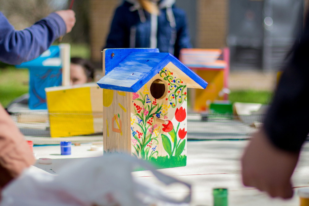 Shepton Mallet birdhouse sessions at Men’s Shed (Photo: Unsplash) 