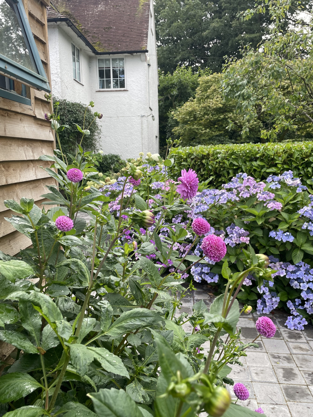 Open Garden with the Nation Open Garden Scheme (NGS)
