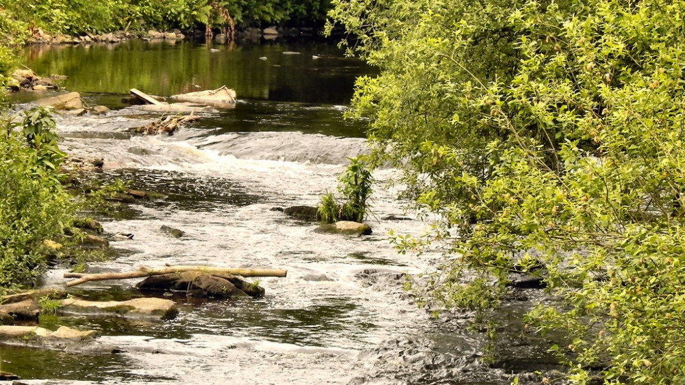 The were several incidents during the June heatwave (image via David Dixon on Geograph)