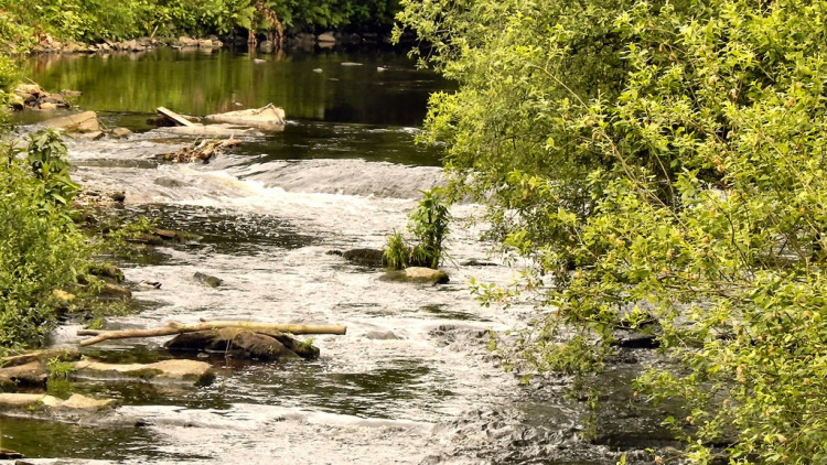 The were several incidents during the June heatwave (image via David Dixon on Geograph)