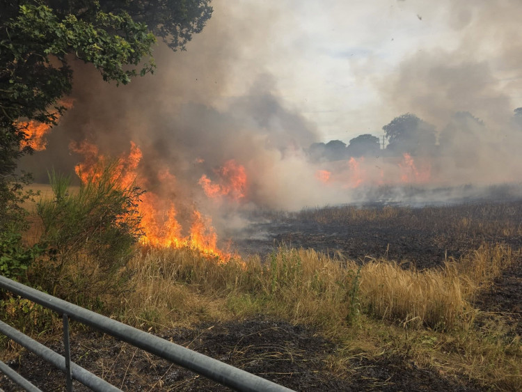 A discarded cigarette is thought to have started this field fire in Church Lawton. (Photo: Gareth Mitchell)